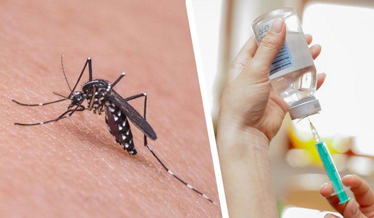 Fotografía: Se aplicará la vacuna contra en dengue a docentes de Capital