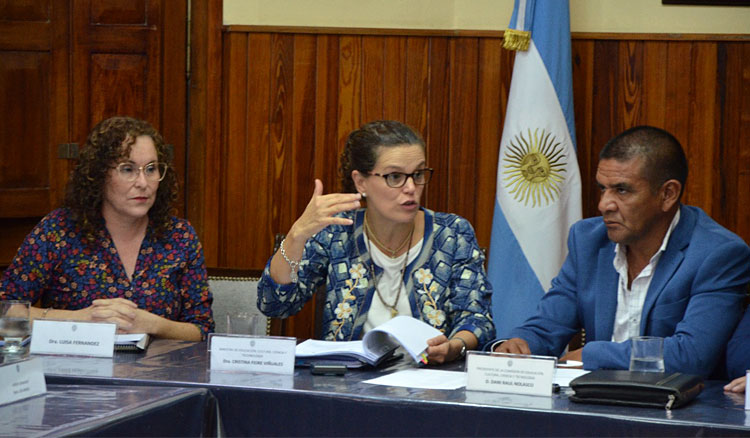 Fotografía Fiore ante senadores: “Los procesos administrativos docentes no pueden estar sujetos a discrecionalidades”