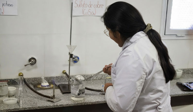 Salta seleccionó los proyectos que la representarán en la Feria Nacional de Ciencias 2026