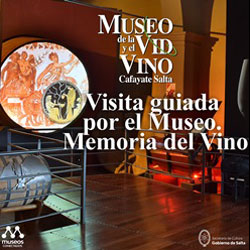 Visita guiada por el Museo. Memoria del Vino