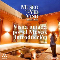 Visita Guiada por el Museo. Presentación
