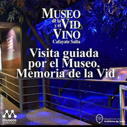 Visita Guiada por el Museo. Memoria de la Vid